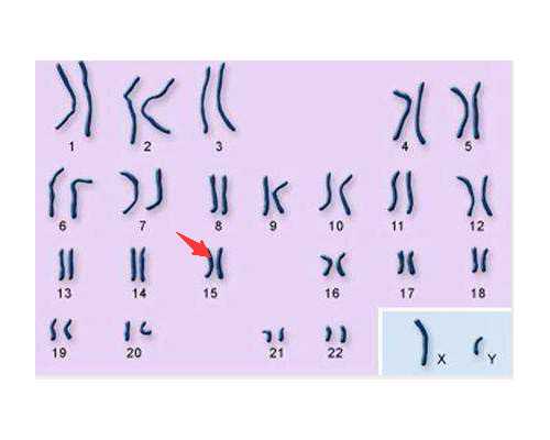 古玩翡翠小说排行榜,健身人群bmi正常范围？