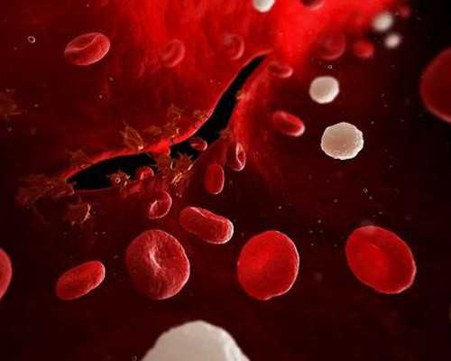 ,香港验血前的孕前检查