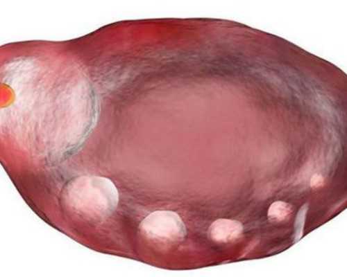 古董古玩私下交易要出手的联系,《狐狸的夏天》第一季（1~44集）全剧分集剧情