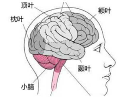 怀孕三个半月还可以香港验血吗,手指验血能查出怀孕吗