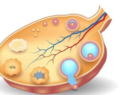 Y染色体呈阳性就一定是男孩吗？有没有可能是女孩？,香港验血的血样可以保存