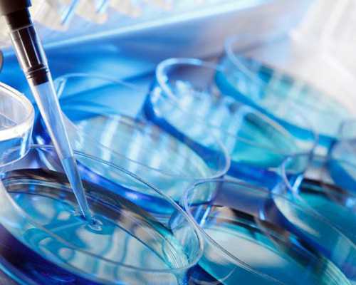 香港孕妇验血 双胞胎,4个月去香港查性别_抽血鉴定性别要多少费用!