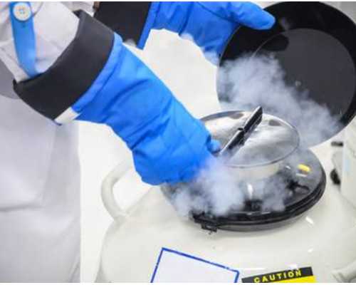 香港查母体血验男女费用怎么收？史上最详细[香 怀孕一个多月去香港抽血能看