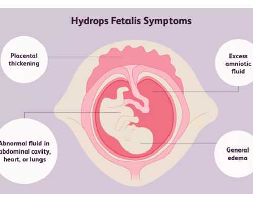 重生过去收集古玩的小说,看人特别不准连渣男都看不出来的星座女