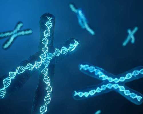 半年内生过儿子香港验血女儿准吗,香港验血查男女可以下午抽血吗_抽血查性别