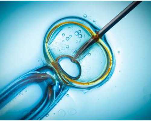 香港验血中心预约,怀孕45天能看出男女吗_验血查性别准确率高吗!