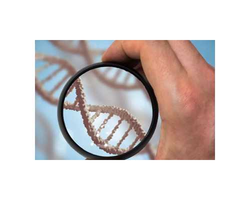 兰州哪里可以验血测性别_当然是选择准确率高的 验血看男女需要多长时间
,香