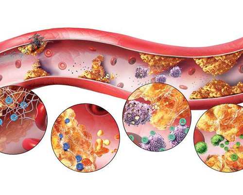 香港验血结果单图,香港四大化验所机构_推荐这家真的每次都准，快 国内有验血