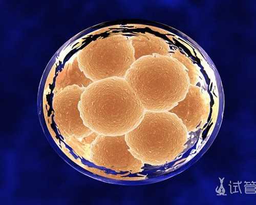 重生之古玩人生无删减小说,新手去健身房，想增肌如何安排自己的训练？内附