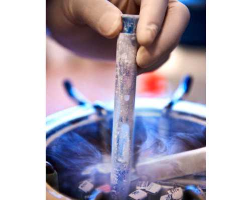 古玩指南全编电子版,增肌减脂必备食物有哪些