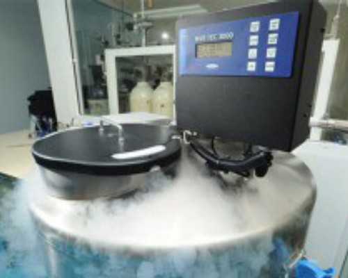 西安正规古玩交易市场,为新疆维吾尔自治区成立60周年献礼电视剧《丝绸之路传