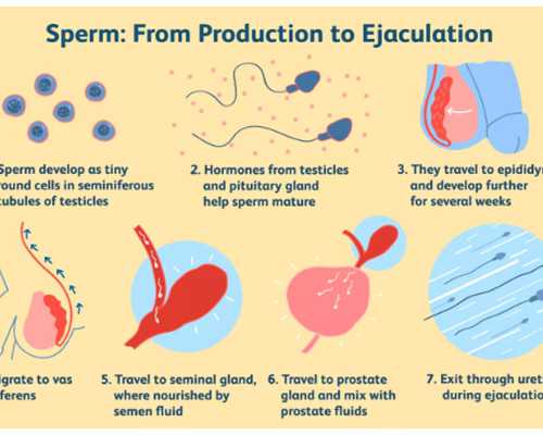 成都古玩一条街,东北凉拌卤肉的做法