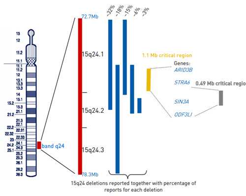 古玩鉴定放大镜价格,三个方法帮你从根本上消除脂肪，并且永久不反弹