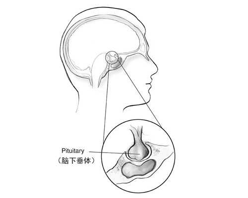 婚前检查验血查什么,香港仁乐邮寄验血骗了