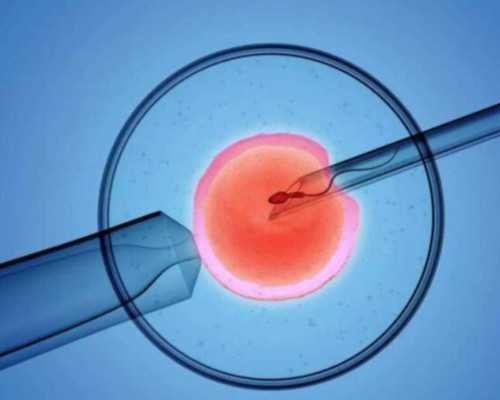 赣州古玩交易市场在哪里,吃素食会长胖吗？