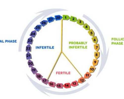 国内有验血测男女准吗_(给想去的宝妈一个参考）,在香港验血验男女合法吗
