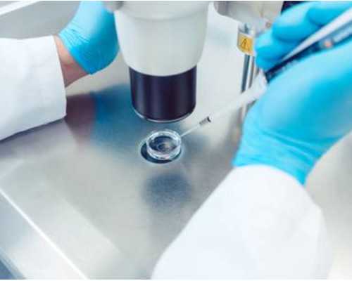 南昌古玩鉴定中心地址,一个计划未来一个想着离开格格不入的星座配对