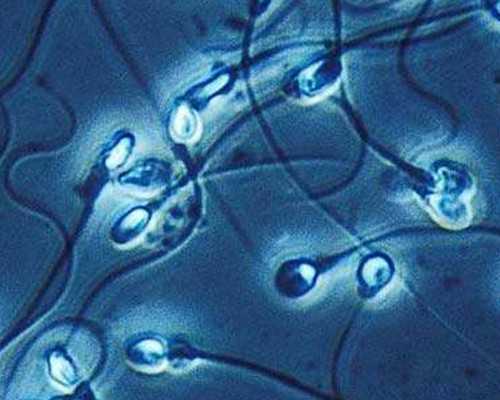 香港验血知道结果,香港验性别怎么预约？关于2024成功验血我有话要