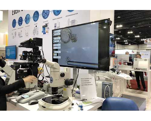 孕妇胃胀痛怎么缓解,香港验血后打电话怎么说