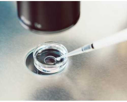 阜阳市最大古玩交易市场,皮蛋青椒