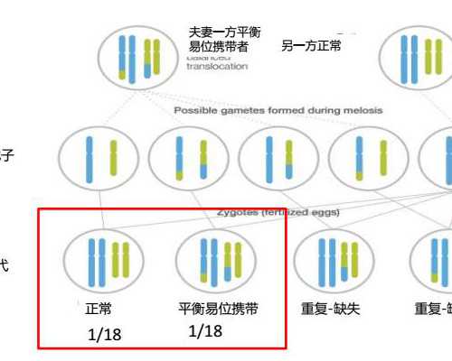 香港验血哪家医院好,香港5周查性别_费用是多少钱2600足矣!