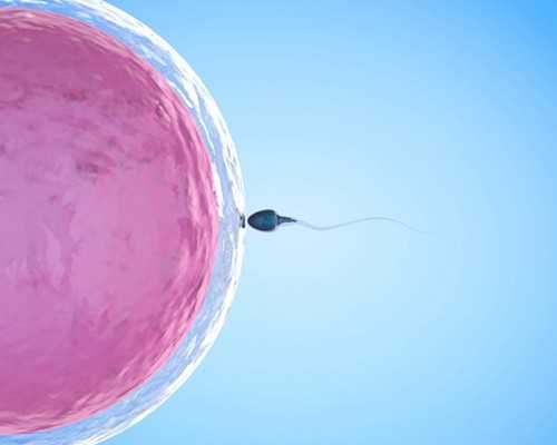 【香港时代医疗化验所】孕妇细菌性阴道炎的原因是什么,大陆快递怎么给香港