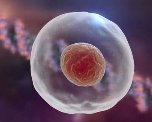 验血HTC值太低是不孕不育吗,香港验血邮寄 林顾问