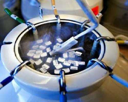 香港验血查男女找谁靠谱,香港一滴血验性别一般多少钱？分享宝妈的亲身经历