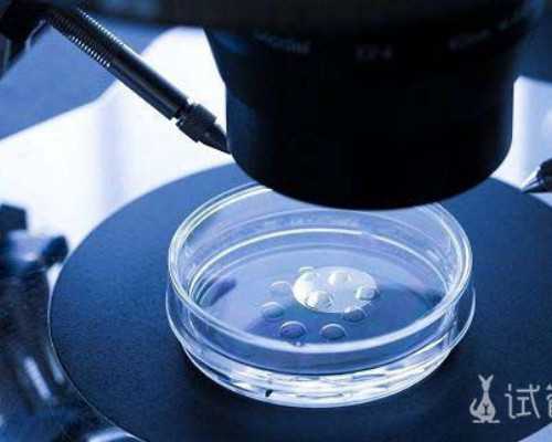 香港验血无结果原因,香港验血测性别准吗，大家一致认可的靠谱验血 香港验血