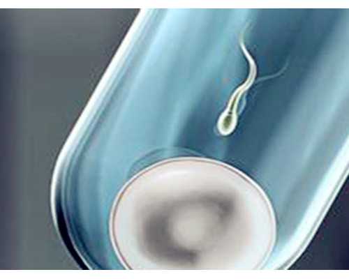 香港验血测性别怎么看,怀孕3个月香港验血怎么收费?千万别错过的最全性别鉴定