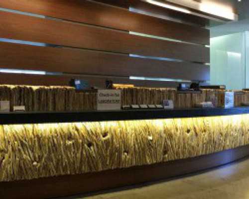 香港验血号脉都是女儿准么,11周去香港验血可以排畸吗_千万别错过的最全性别