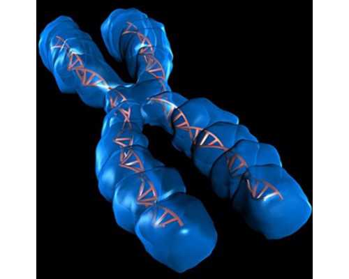 高局长古玩骗局是什么电影,华为WATCH 3深度评测，这块表确实有点不一样