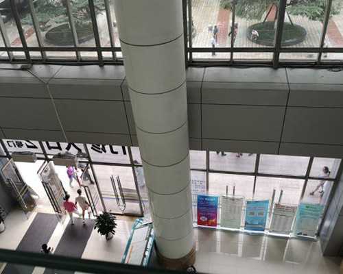 香港验血吃什么东西验不准,夏津验血看男女准不准_采血鉴定性别需要什么流程