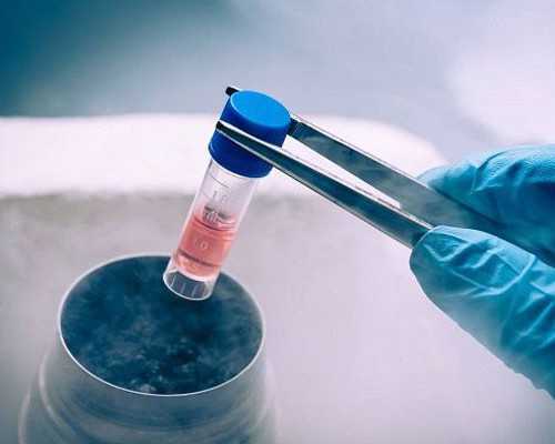 12周还能香港验血吗，揭晓2024验血的所有相关事,香港铜锣湾有什么验血机构