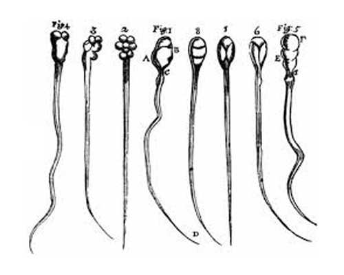 古玩电影豆瓣,减肥小常识 减肥期间能吃牛肉吗