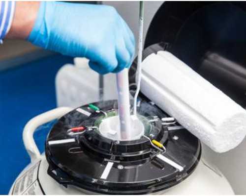 去香港验血是男孩准吗,香港验血5周准吗,验血查性别真的准吗