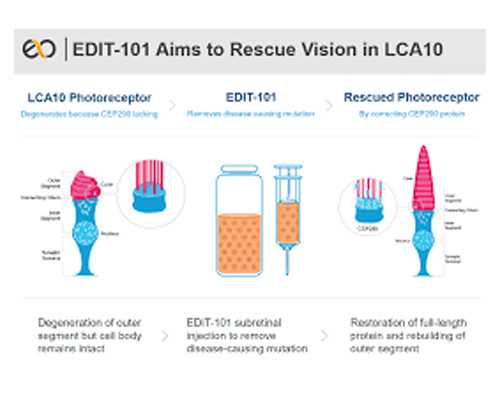 香港验血达雅高3个D就是男孩_验血查性别有什么,怀孕到香港验血要注意什么