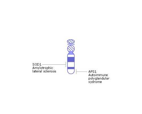 验血报告单怎么看怀孕，告诉你想知道的全部问,双胞胎香港验血7周和8周一样吗