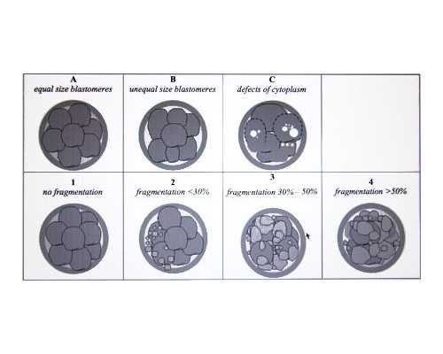 沉浮古玩虫电视剧全集免费观看爱奇艺,苹果全新有线EarPods图曝光，更像AirPod