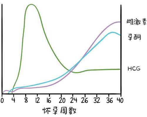 潍坊古玩市场摆摊时间,半月板3度损伤需要手术吗
