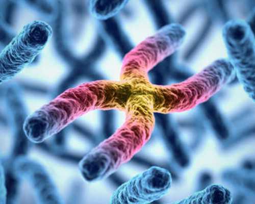 【香港化验所】孕妇初期能不能吃虾,孕六周和七周香港验血