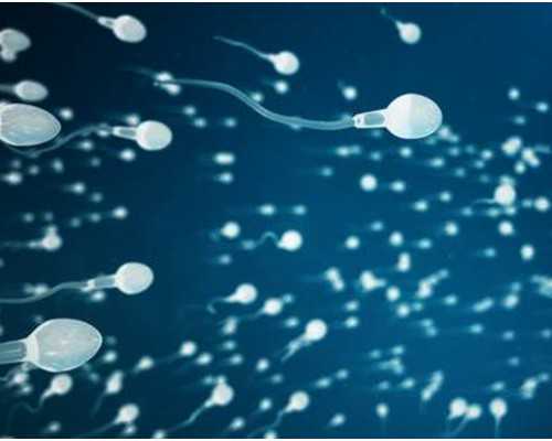 赌石古玩类小说代表作,赵丽颖杨幂刘诗诗范冰冰 抢光主角风头的惊艳配角