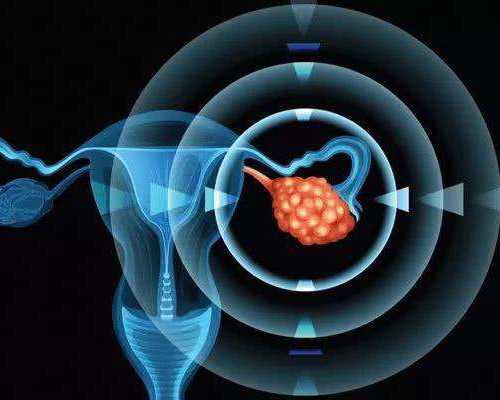 孕囊9mm 香港可以验血了吗,香港康宁验血真假,抽血鉴定性别要多少费用