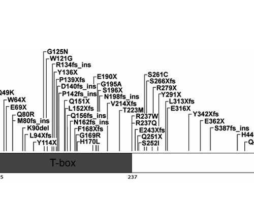 香港验血没到六周准吗,备孕女的能不能喝酒
