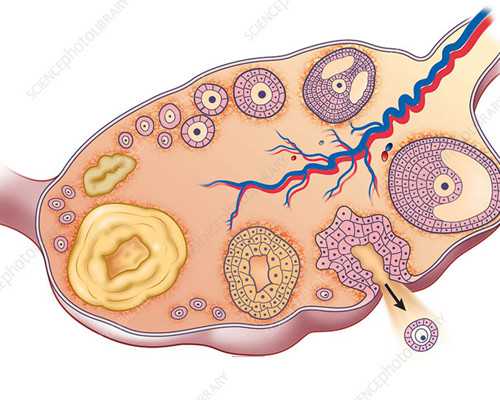 北京潘家园古玩鉴定中心网址,肝癌做b超能查出来吗