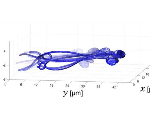 闻名的香港验血部分专业精准 引产半年后抽血查男女准确率多少
,香港验血男