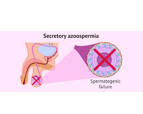 香港验血为何要七周,你想了解的都在这了,香港验血寄血是骗局吗