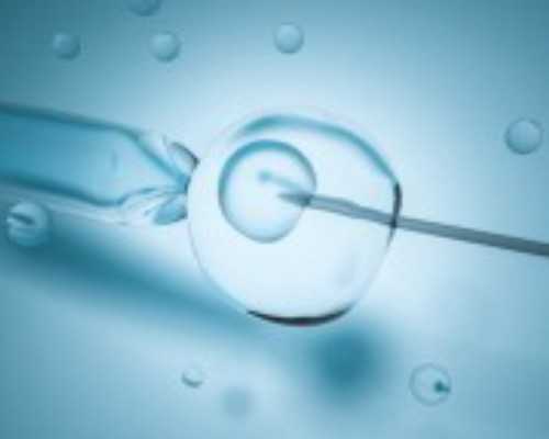 有在香港戴学良诊所验血的吗,喝酒对备孕有影响吗