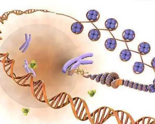 香港验血6周的标准,香港怀孕抽血_测性别哪个诊所准