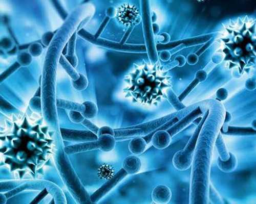 香港验血没两次结果,香港验血是Y染色体-男孩是否翻盘？ 香港怀孕验血要多少